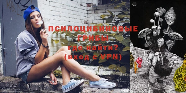 сатива Алзамай