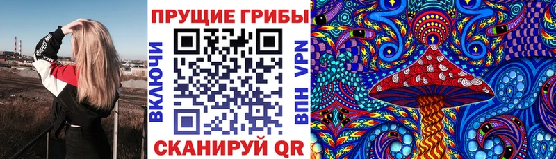 KRAKEN   Миасс  Псилоцибиновые грибы GOLDEN TEACHER 