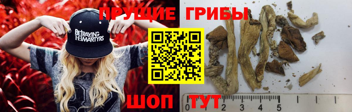 Галлюциногенные грибы Cubensis Миасс